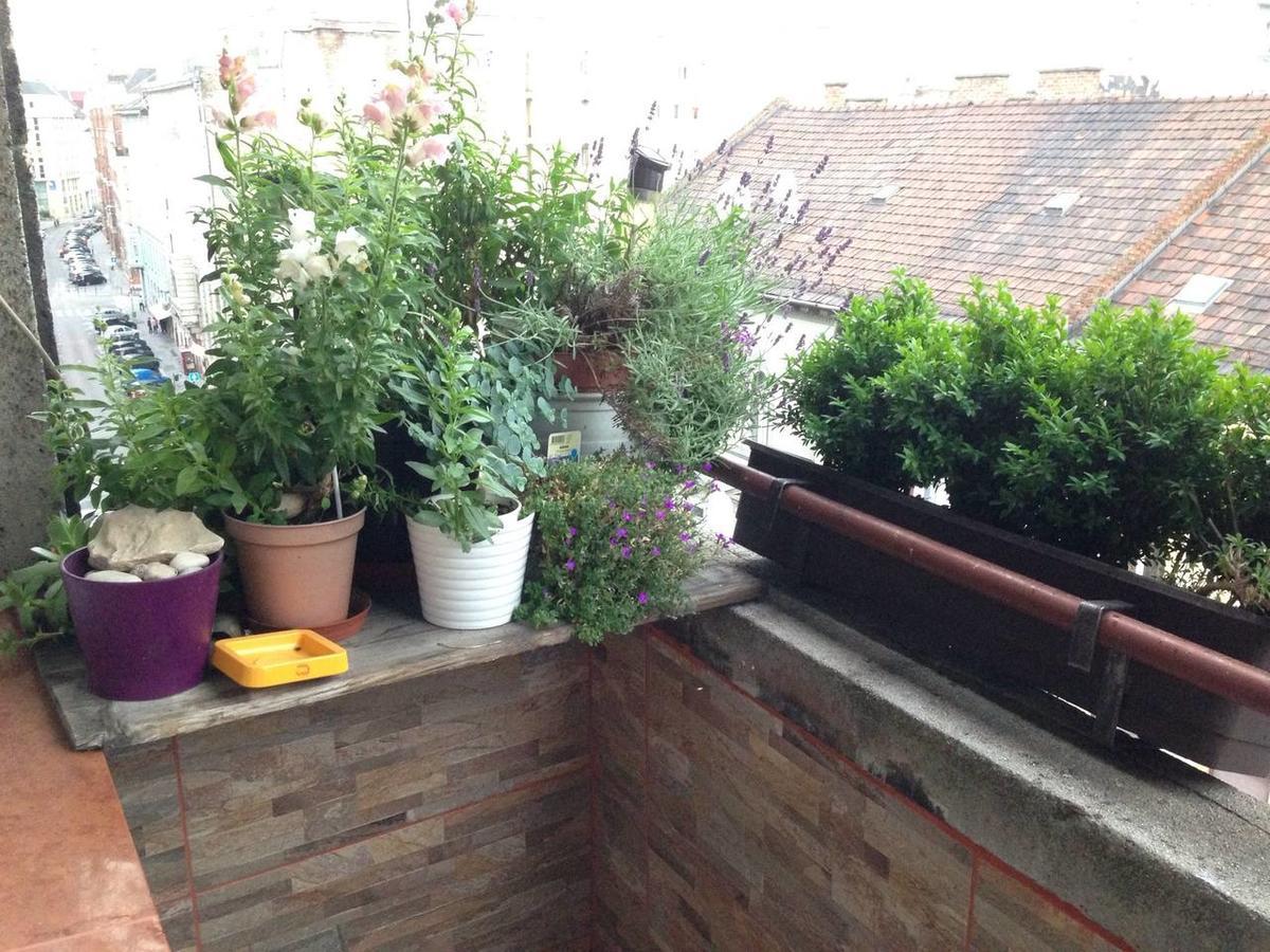 Lonyay Street Apartment Budapest Exterior foto